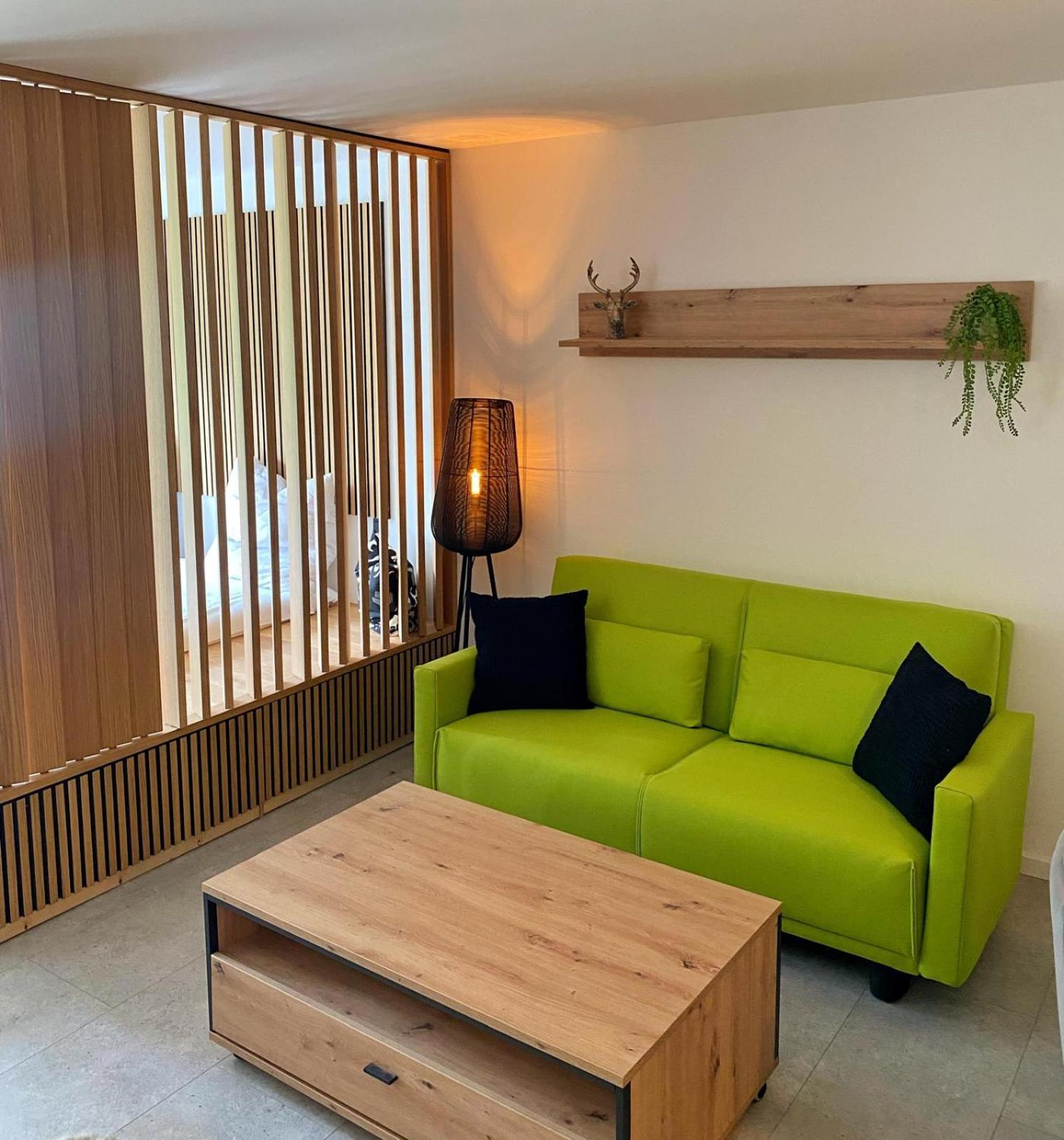 Typ K Apartment Willingen  Exterior foto